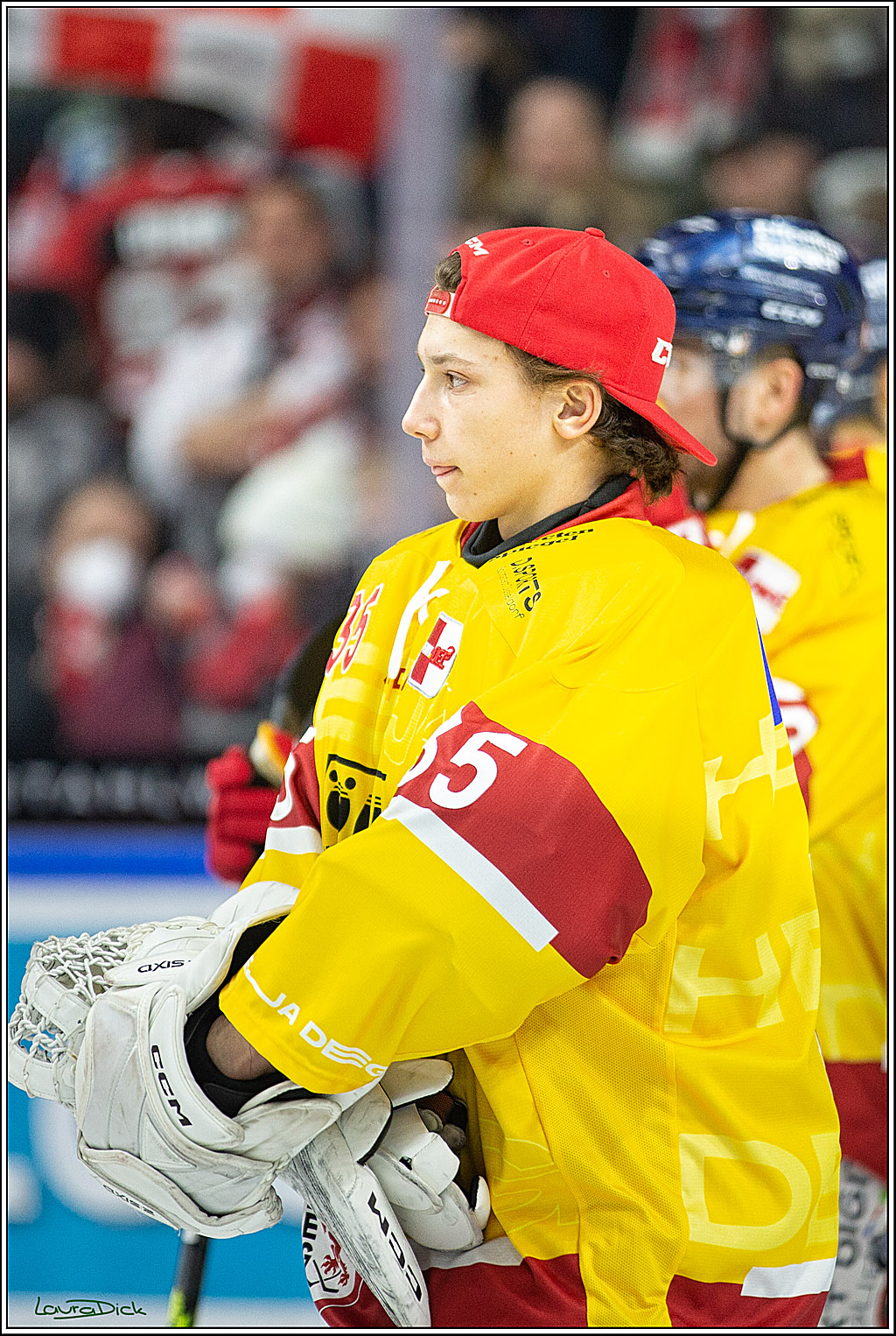 PENNY DEL; Koelner Haie- Duesseldorfer EG; Koeln, 16.12.2022